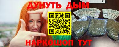 тгк Кингисепп