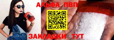 тгк Кингисепп