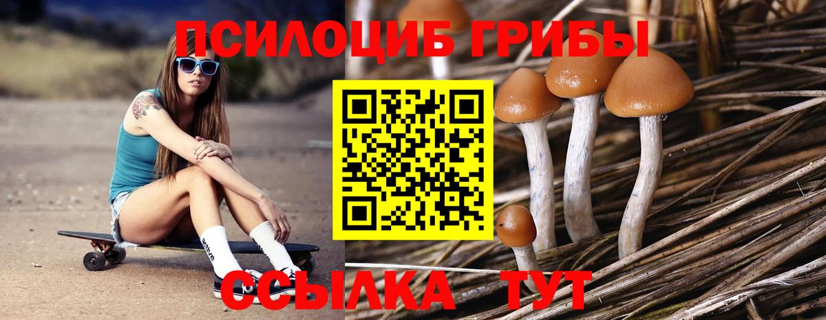 Псилоцибиновые грибы Cubensis Лыткарино